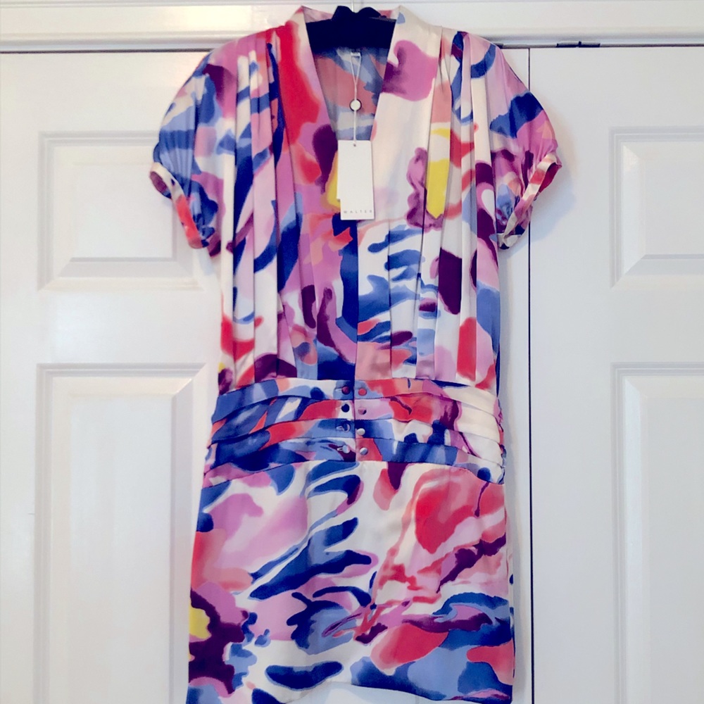 Walter Baker Silk Watercolor dress
